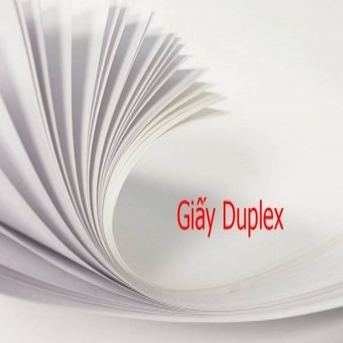 Bìa Duplex A0 ĐL250